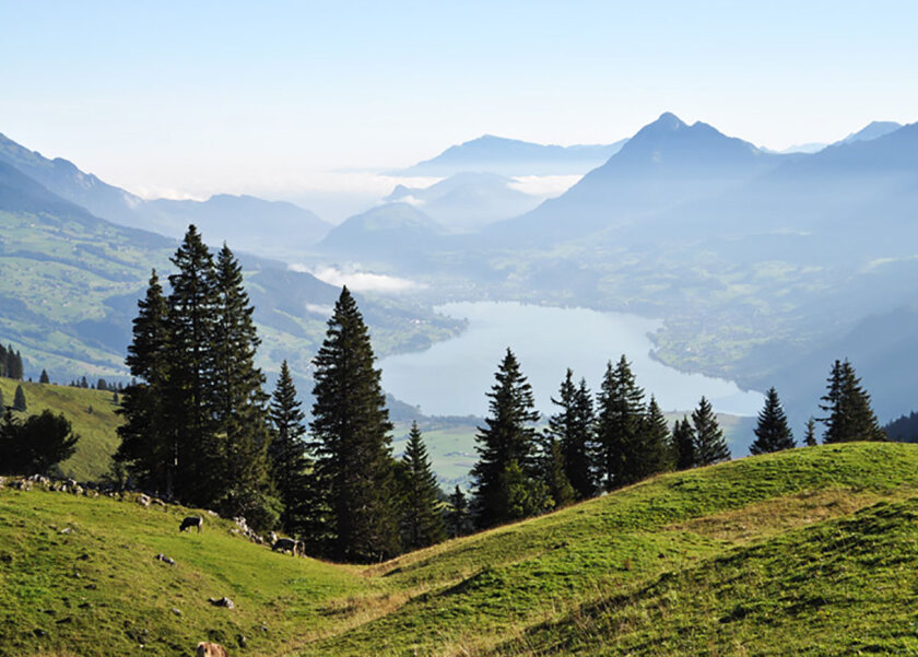 ausflug in die alpkaeserei auf der fluonalp